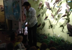 dzieci siedzą na poduszkach, Pani przewodnik pokazuje ilustracje z dinozaurami- przodkami ptaków